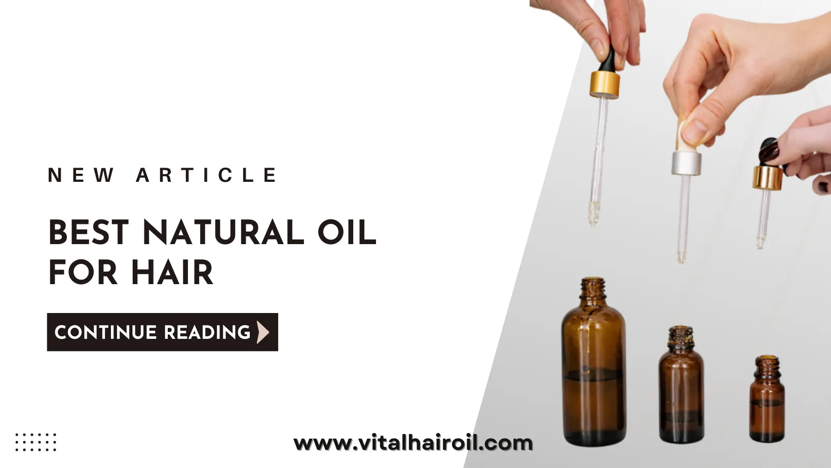 10 Best Natural Oil For Hair For Growth 2023 0504